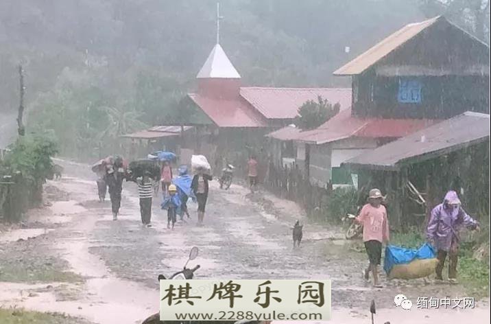 缅甸边境小镇变“空城”90的居民出逃家畜上街游